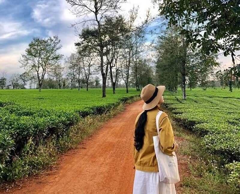 Biển Hồ Chè 8