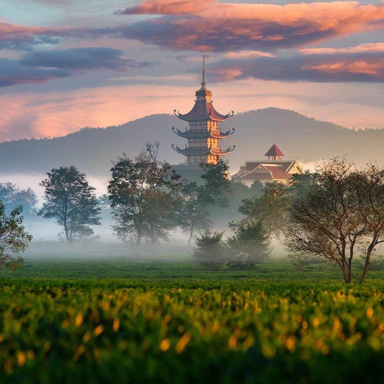 Chùa Bửu Minh Cổ Tự 5