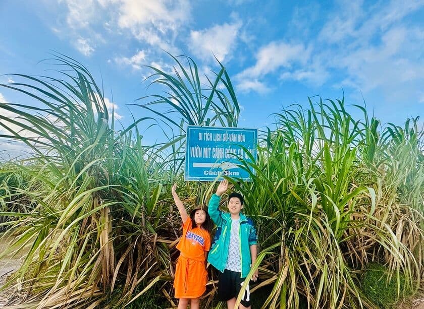 Vườn mít, Cánh đồng Cô Hầu 2