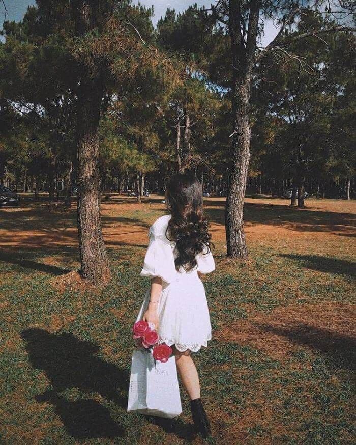 Đồi thông Diên Phú 2