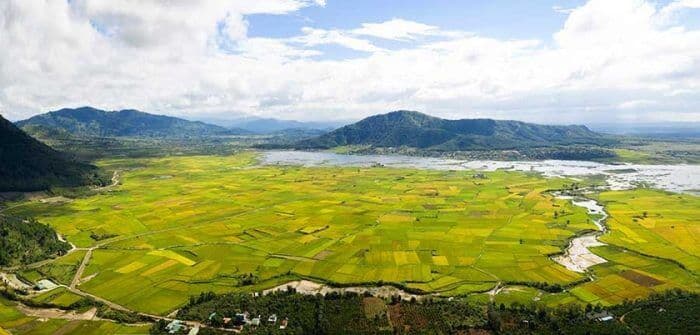 Cánh đồng Ngô Sơn 7