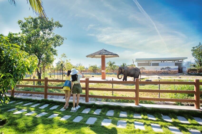 FLC Zoo Safari Quy Nhơn 2