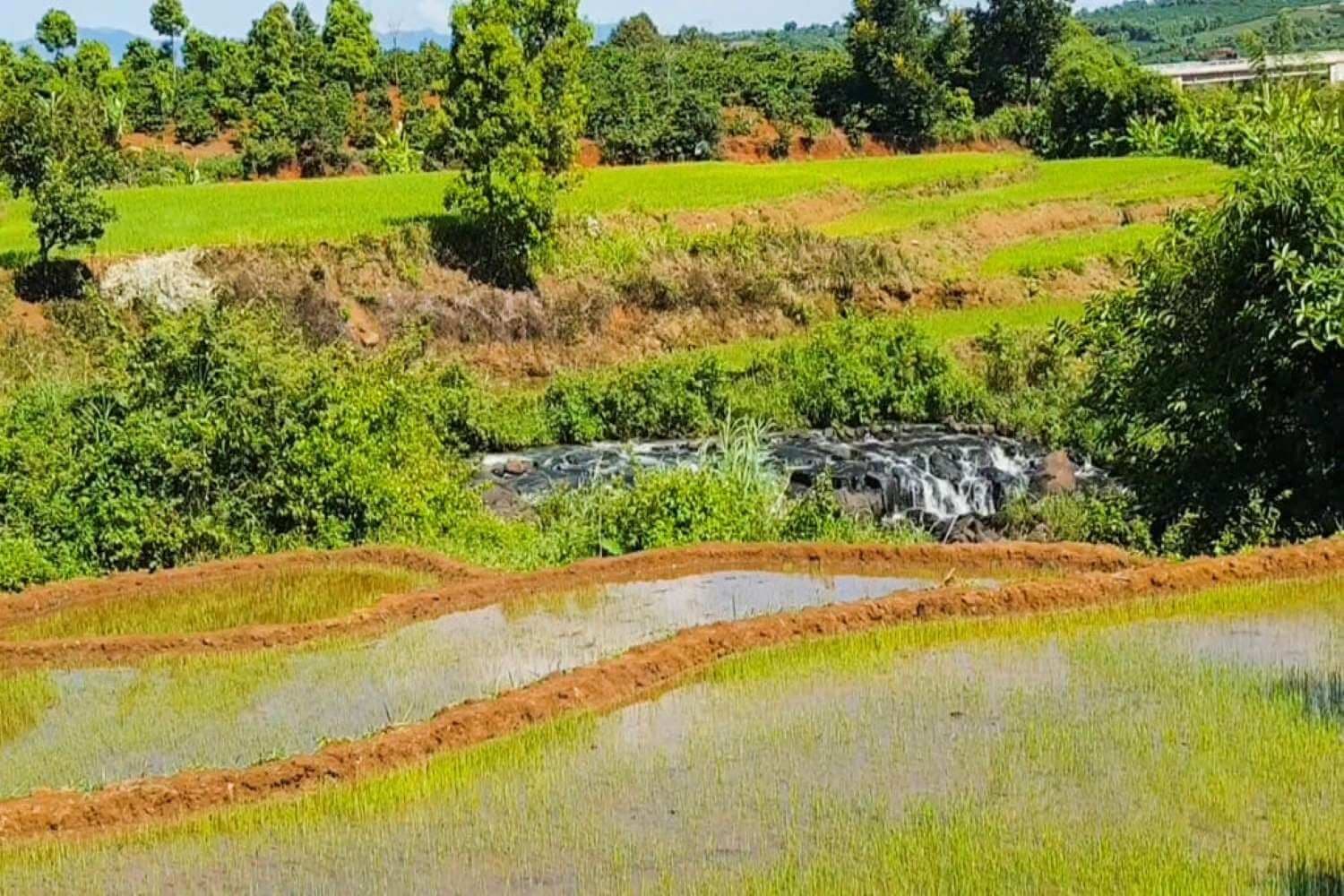 Hồ Thác Ba Chư Păh 3