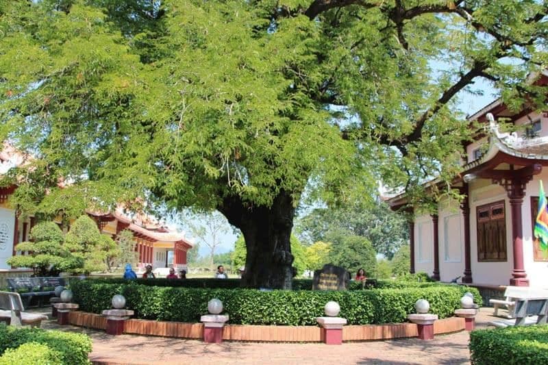 Bảo tàng Quang Trung 5