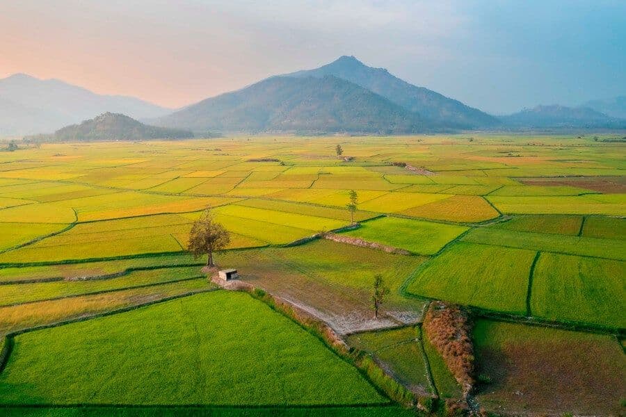 Cánh đồng Ngô Sơn 4