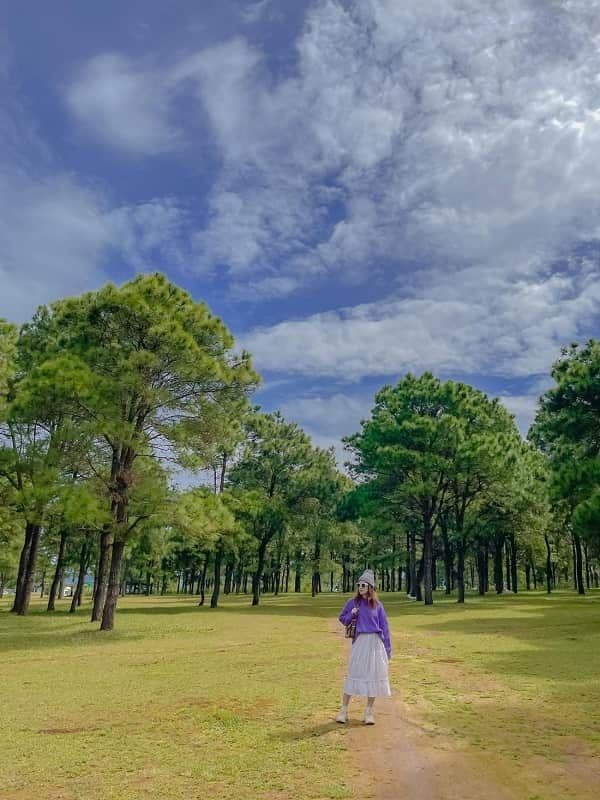 Đồi thông Diên Phú 6