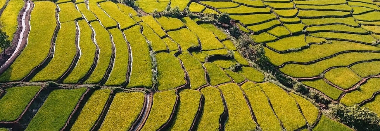 Ruộng bậc thang Đak Tơ Pê 1