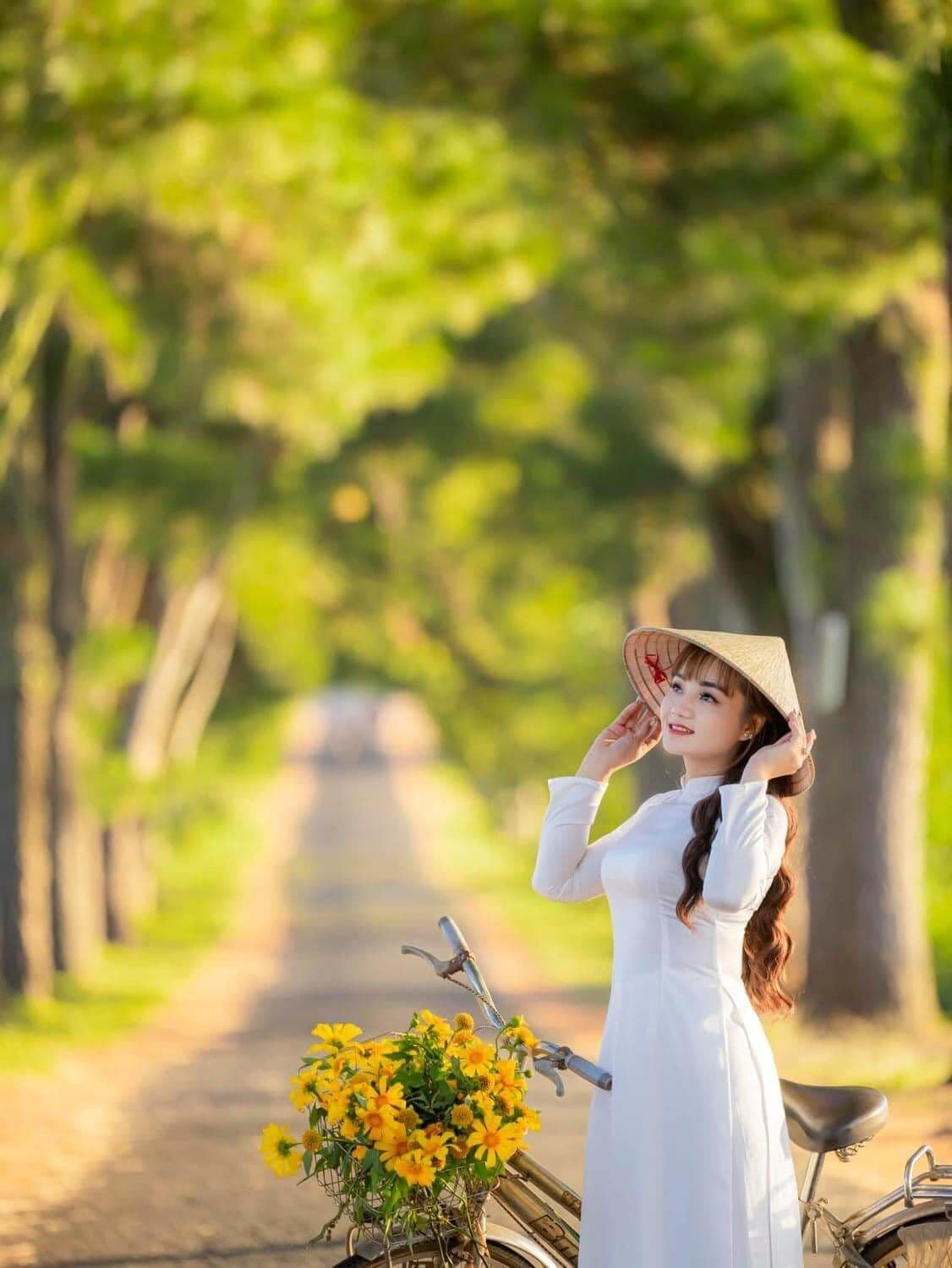 Hàng thông trăm tuổi 5