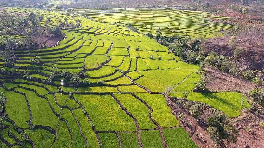 Ruộng bậc thang Đak Tơ Pê 4