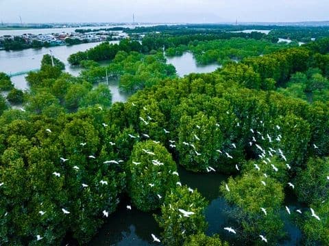 Đầm Thị Nại 7