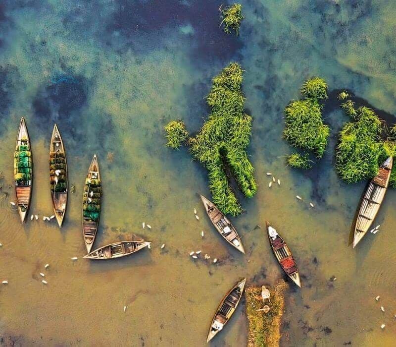 Đầm Trà Ổ 2