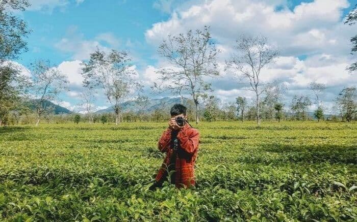 Đồi Chè Bàu Cạn 4