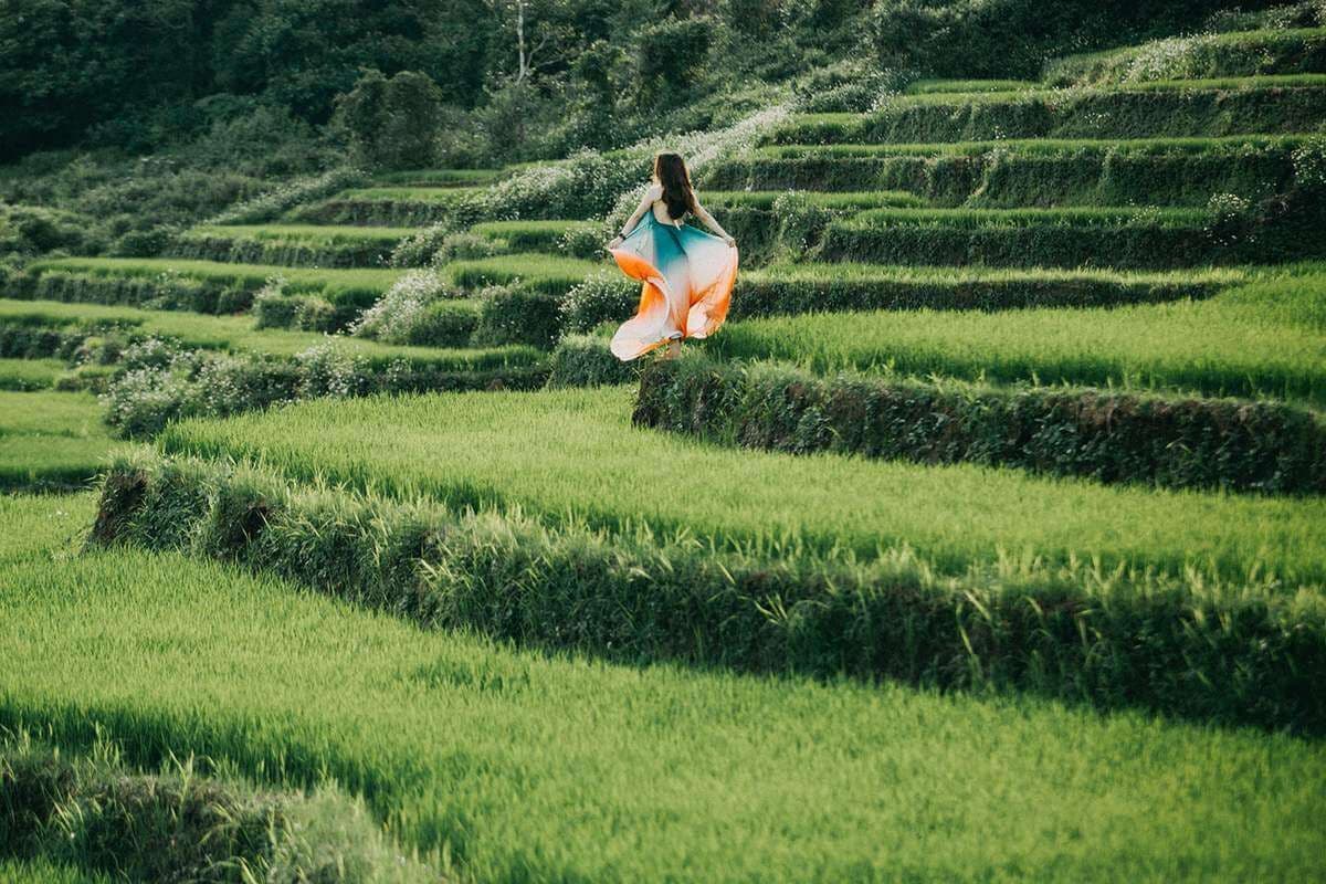 Ruộng bậc thang Đak Tơ Pê 6