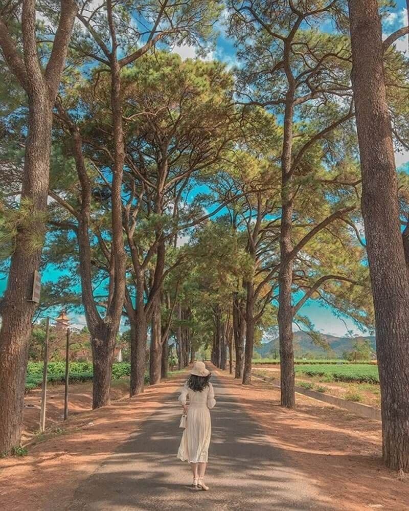 Biển Hồ Chè 7