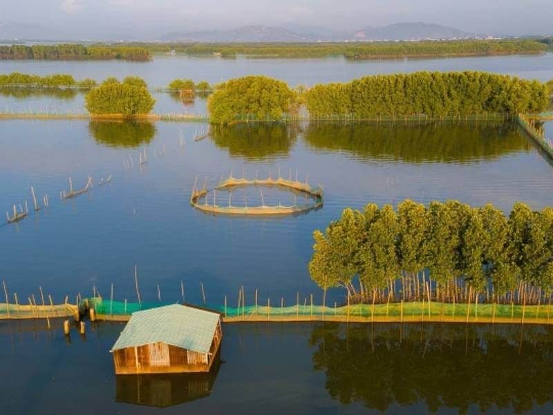 Đầm Thị Nại 5