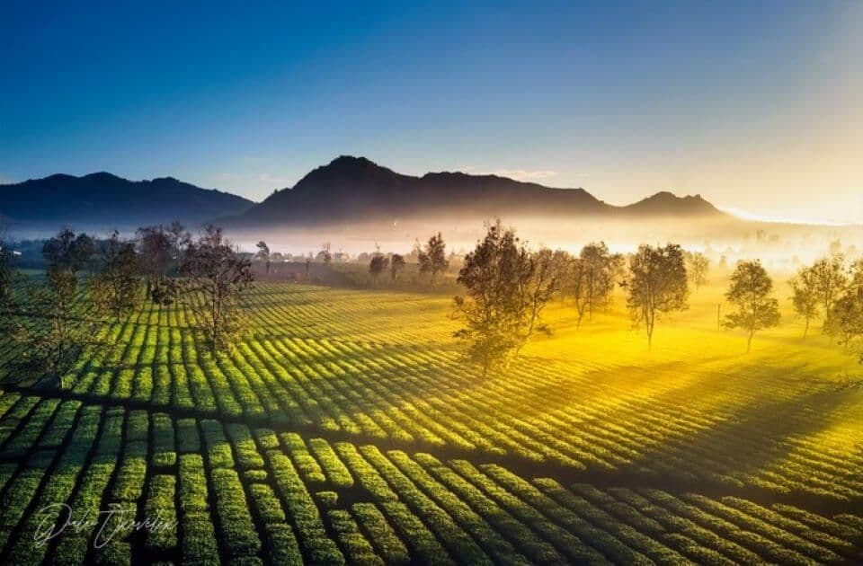 Biển Hồ Chè 2